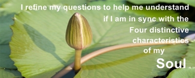 FreeDigitalPhotos.net, foto76