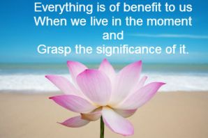 grasp the significance 3