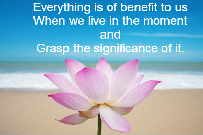 grasp the significance 3