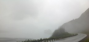 Foggy Alaska
