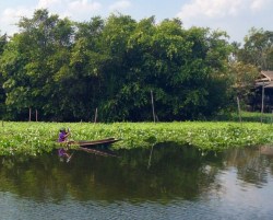 Reflections on Thai River