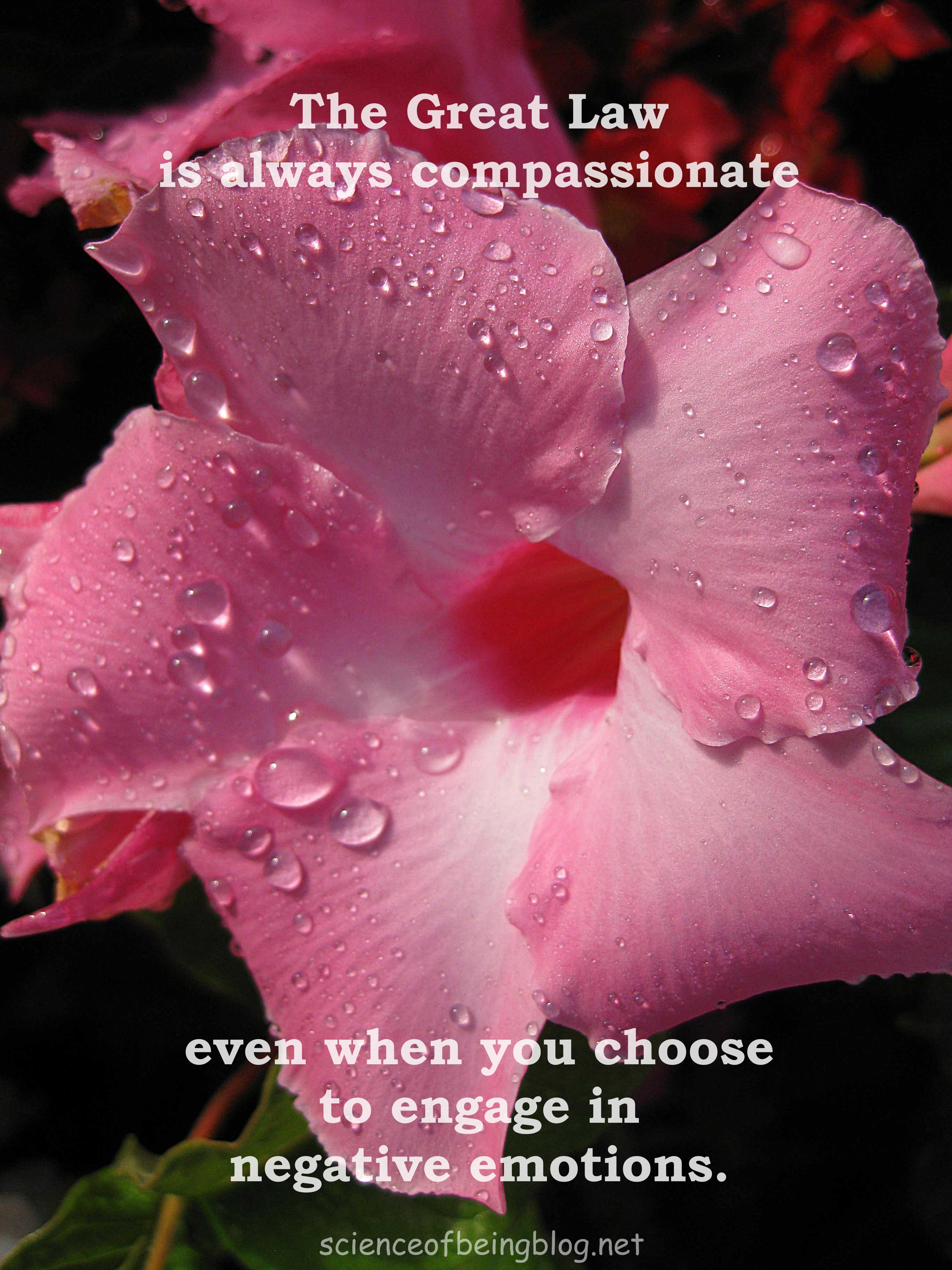 great law compassionate