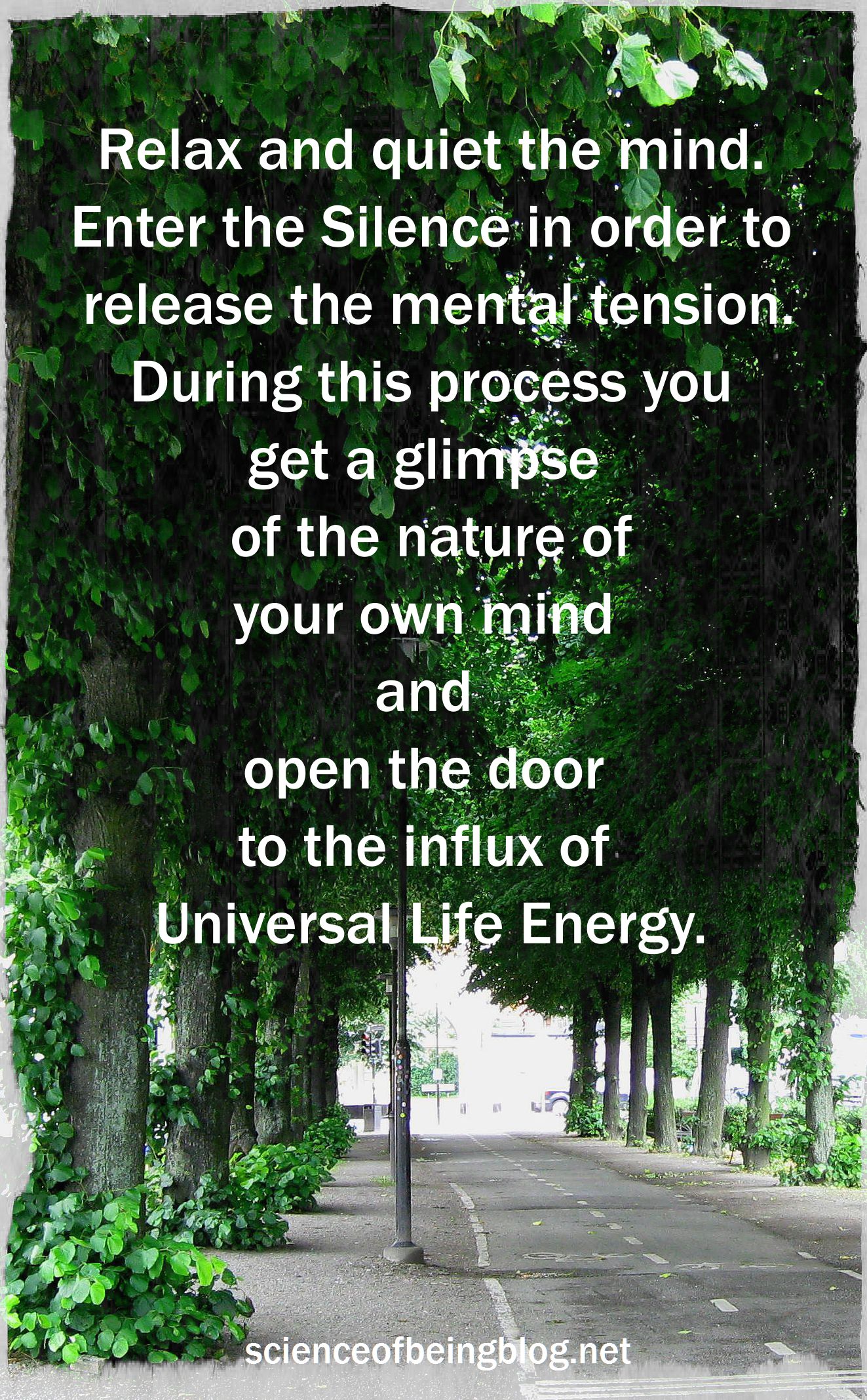 Tree Tunnel relaxation