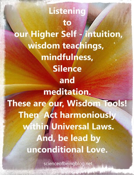 tropical beauty refined listening