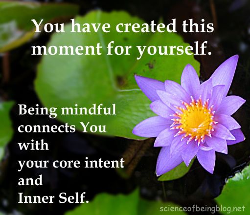 water lilly blue You have created