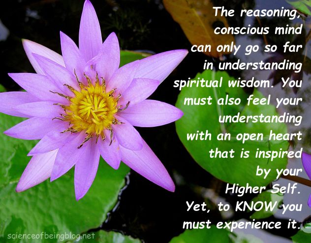 water lilly  blue reasoning