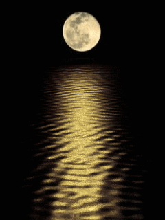 1-moon-reflection