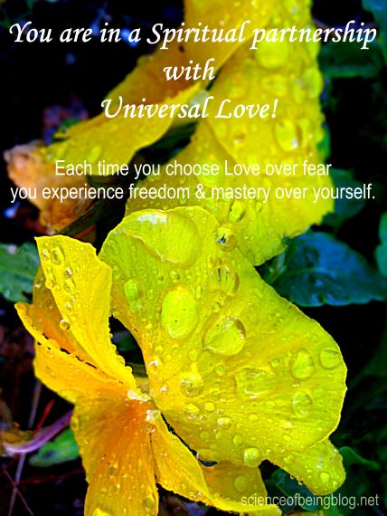 water-pansy-refined-message-best